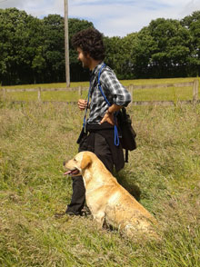 Merry Dogs Training