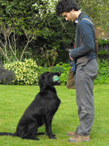 Merry Dogs Behavioural Consultancy & Dog Training Whitstable Canterbury